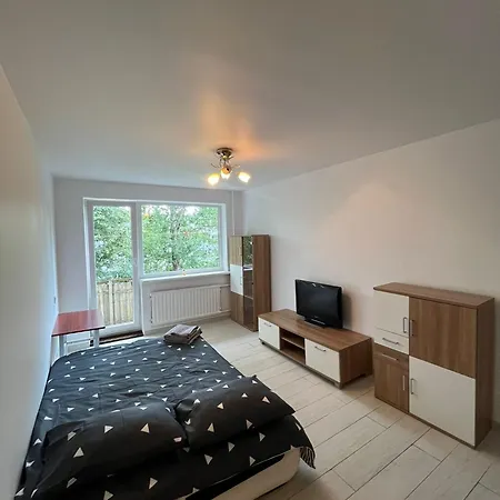 Refurbished 1 Bedroom For Rent Self Check In Kaunas